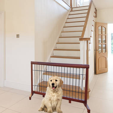 Dog shop gates wayfair